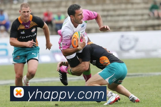 银河娱乐appAPP 封面图